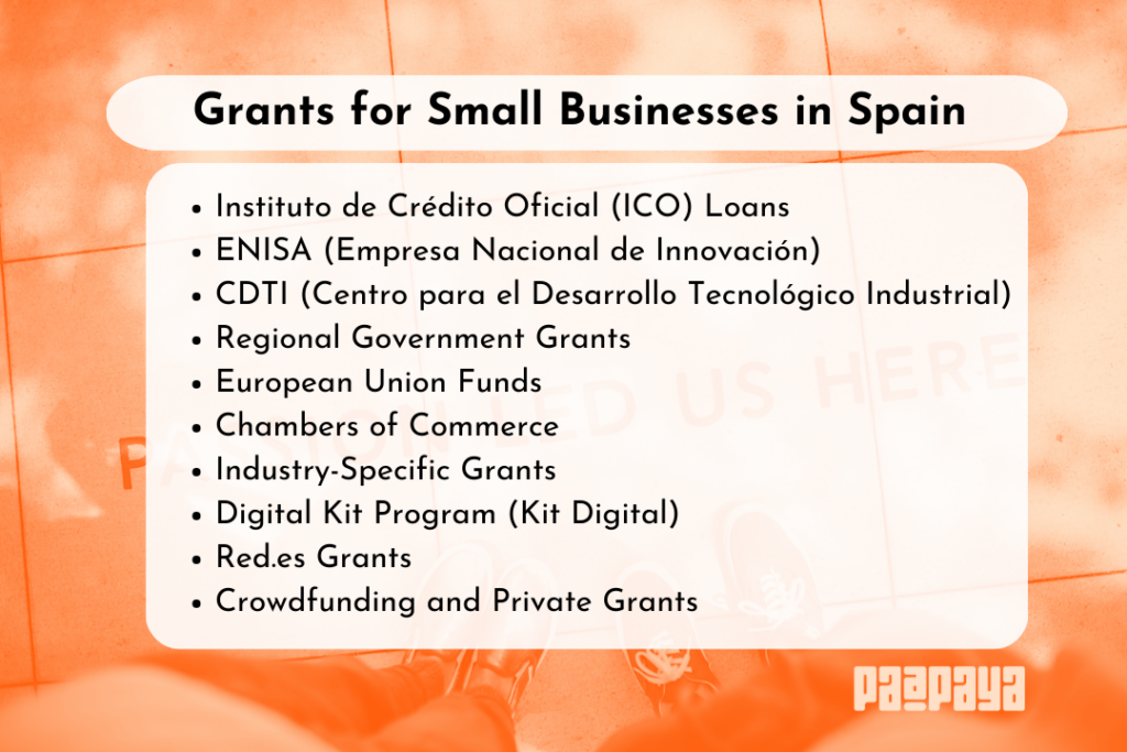 grants for small businesses in spain