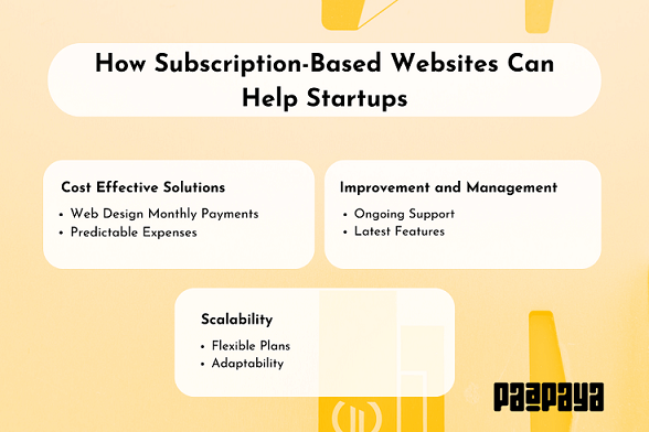 This image shows Paapaya's ideas on how subscription-based websites can help startups 